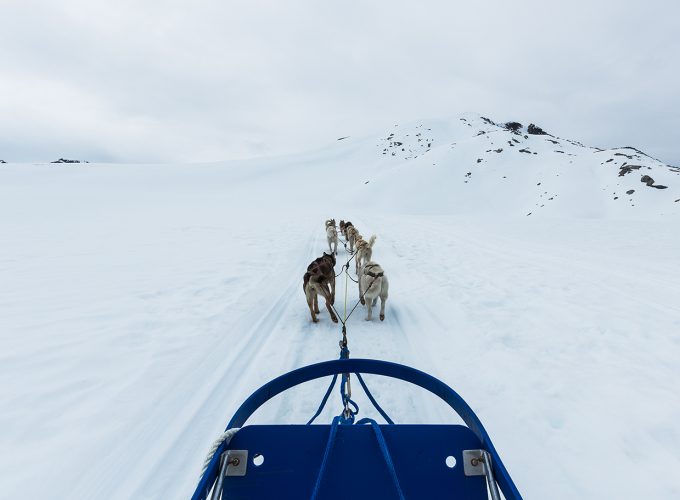 Amazing husky guided tour of the Northwest Territories